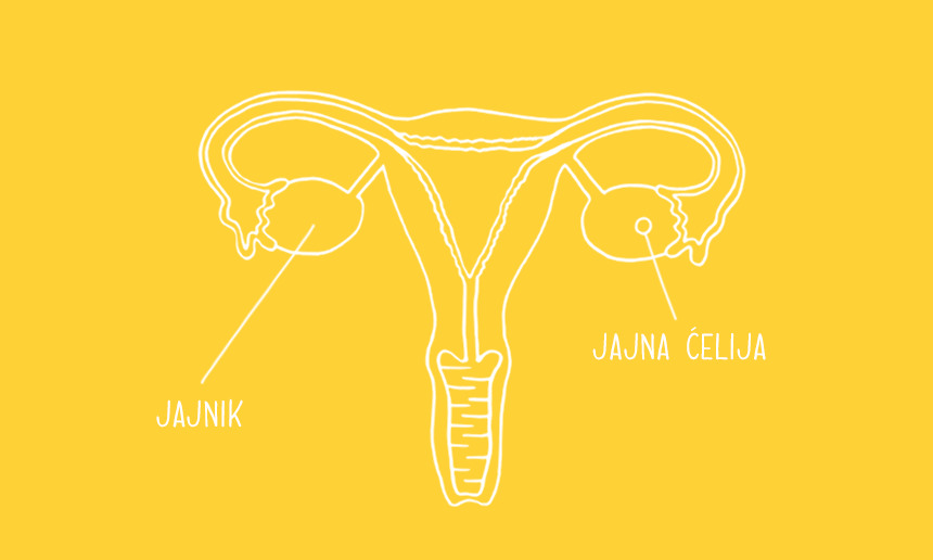 Tvoja prva menstruacija